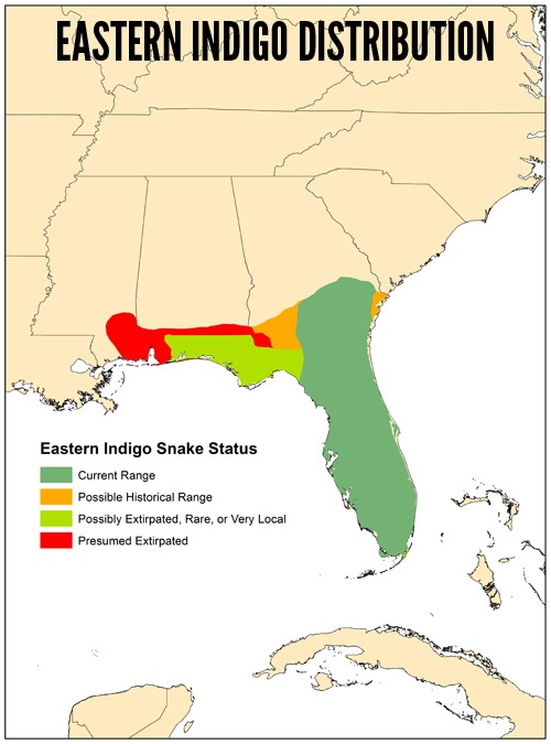 1995 range map texas indigo snake