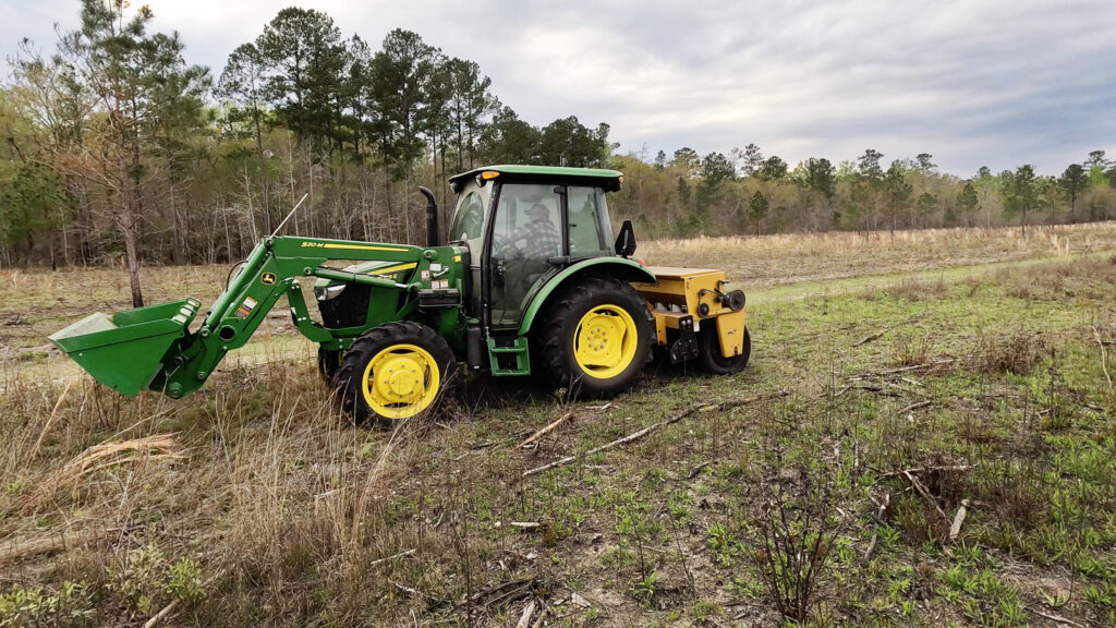 Wiregrass Seed Planting